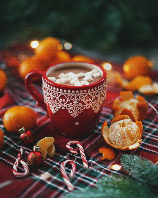 2484c846317292 (6аа) (2)