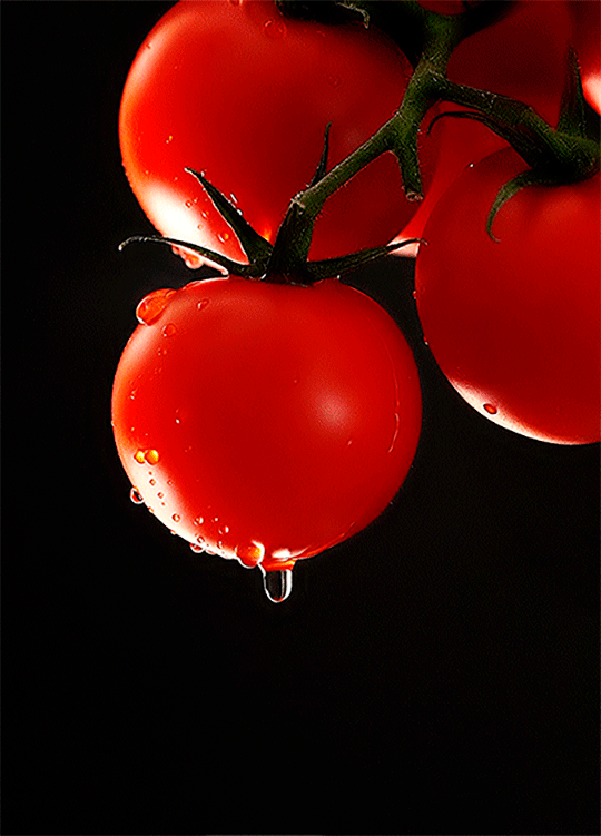 f3541454567885.5960b2e53724a (4)а