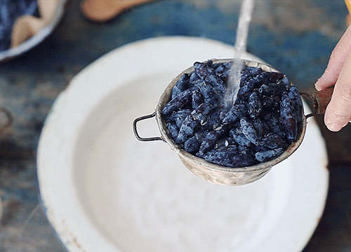 89f11f27516797.56366604759f3 (3а)