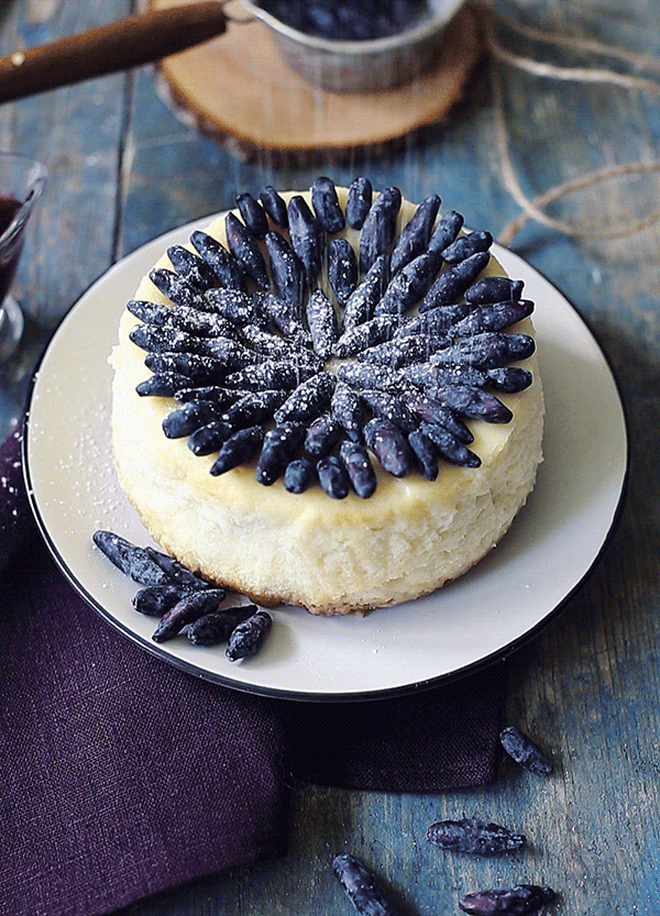 89f11f27516797.56366604759f3