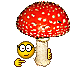 grib