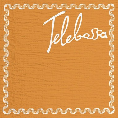 Te1ebo55a