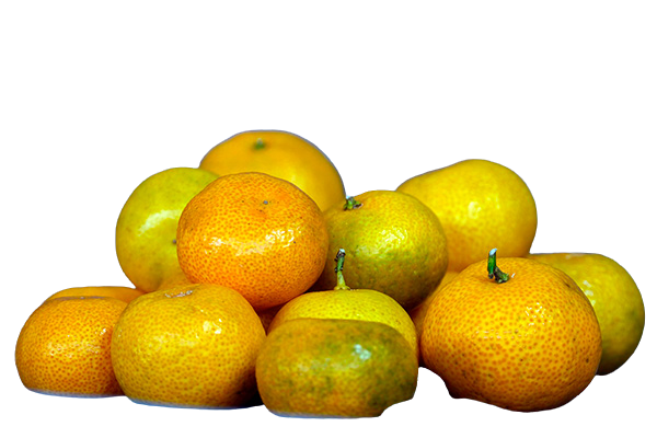 Овощи фрукты (3)
