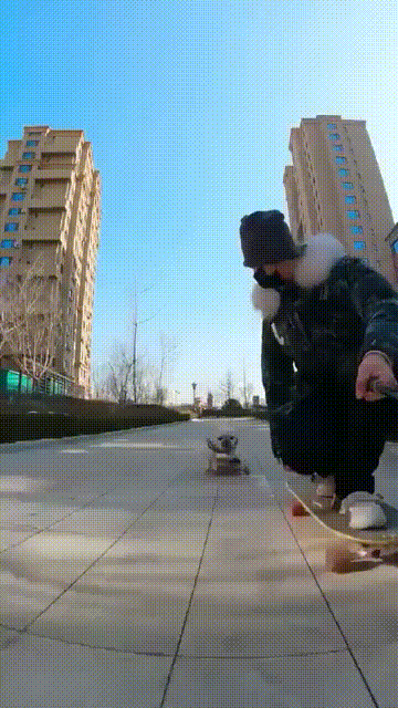 собака-скейтборд