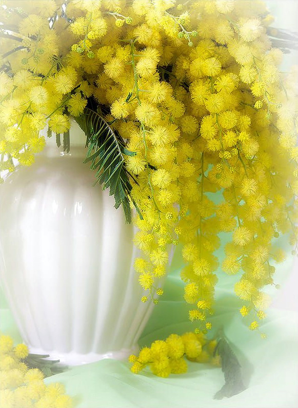 14082676064dffda29789c638011c3bb