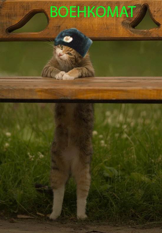 post-3-12467256437132