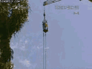 1 (1)