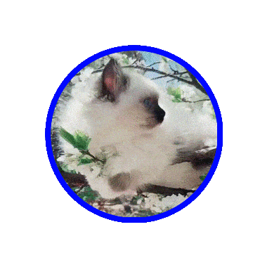 _прилетели.unknown.gif-2