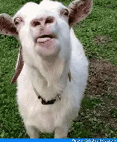 838be0ffb6a9e038f29fdab3a462d777