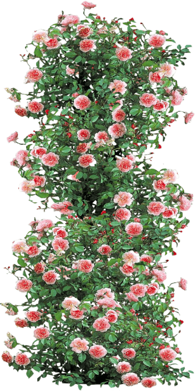 0_168887_331761ec_orig_yapfiles.ru