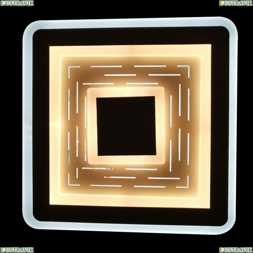 Natali-Kovaltseva-81017-1W