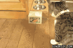 4c1aa3d5-bf93-45a3-ae0b-7f00d2dbe973