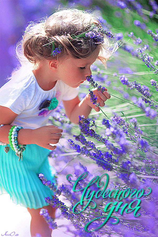 4a746f6bf7b97693179bebb324bd92c9