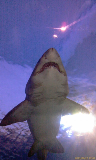 IMAG0269