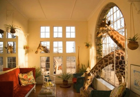Giraffe