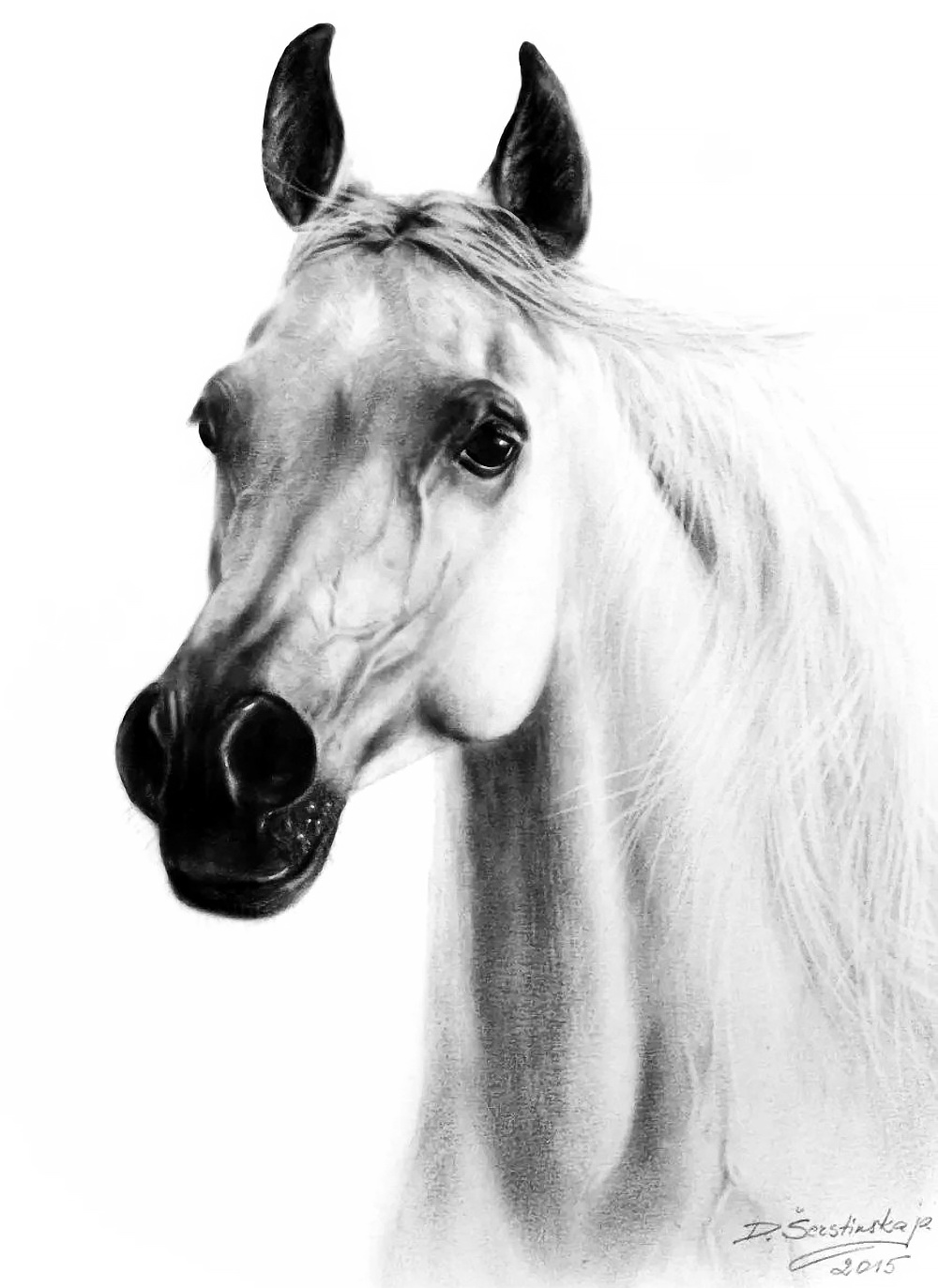 Белый конь эскиз