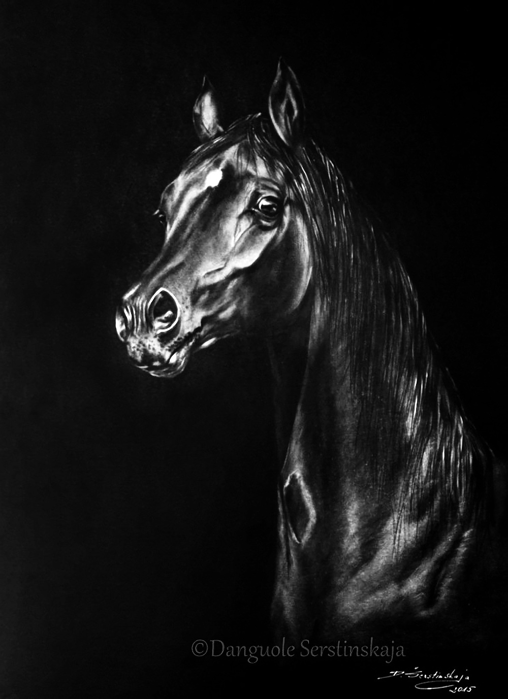 Черный конь картина