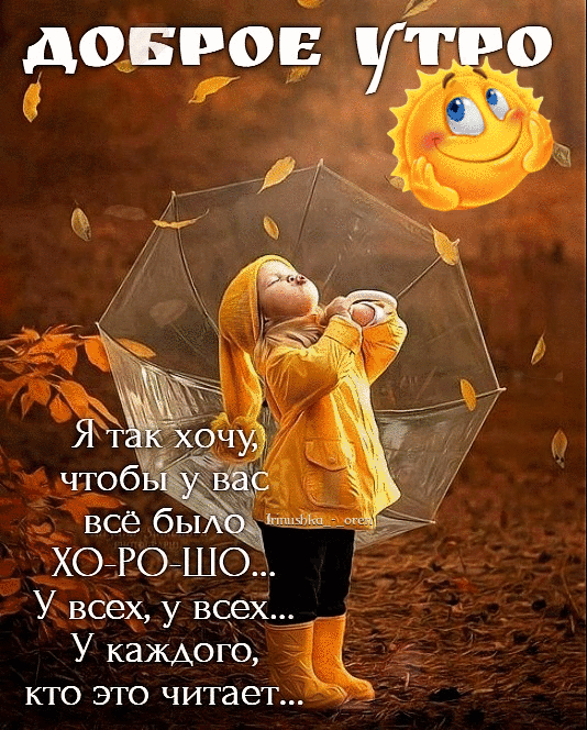 Утро доброе