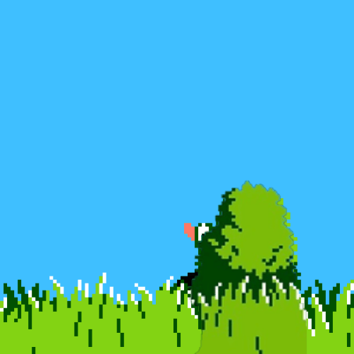 Duck hunt