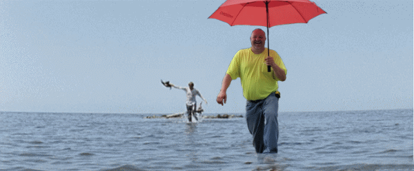 с дороги щенок