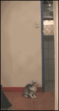 1311709428_db5a0808-7e4f-4c0b-91a6-3ead2cfe4043