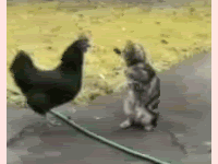 1313686916_314ac4ab-c9d1-424e-a5b6-8c80d35648a0