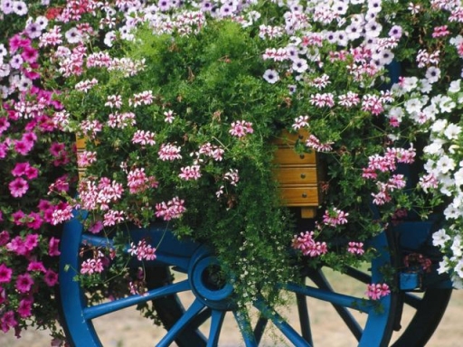 Colorful Flower Cart