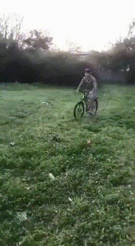 Костер-слабоумие