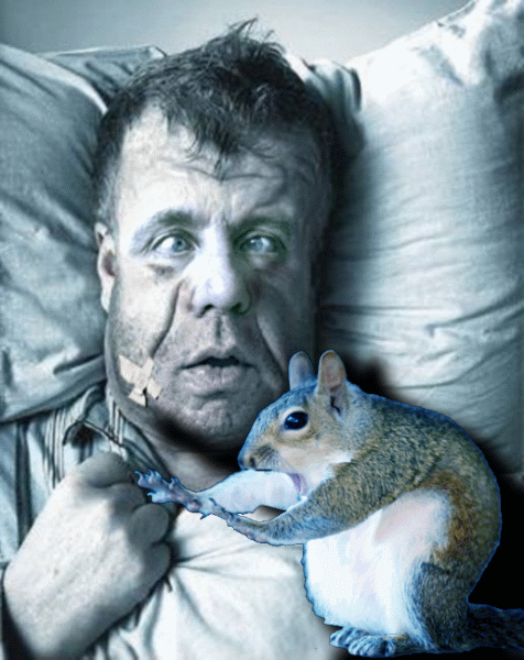 -белка пришла 222