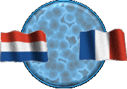 bouton_drapeau_hollandais_francais