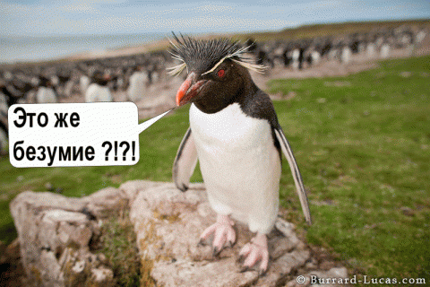 пингвин спартанец