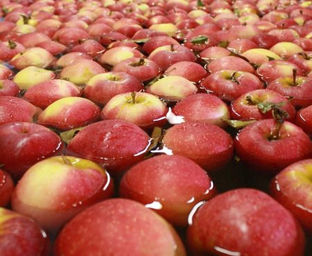 apples