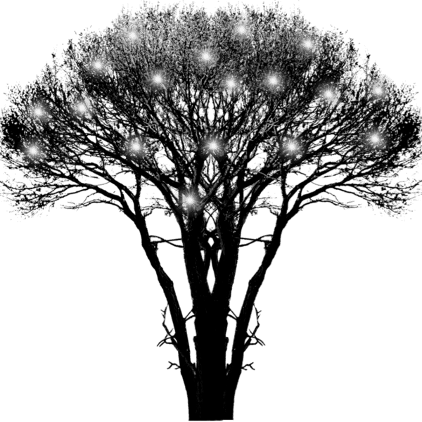 compressedzq1s_yapfiles.ru (1)