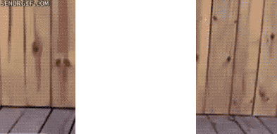 1316004533_b7eb6a4c-25b0-4699-8eb5-11ec270597fb