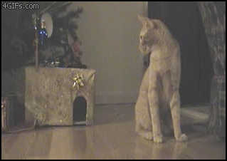 Vicious+hunter+cat+Thanks+for+the+thumbs+and+I+guess_c076be_2620176