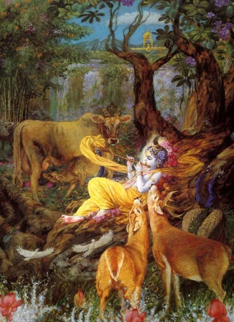 106-Krsna
