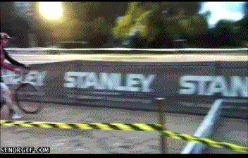funny-gifs-joeys-ok