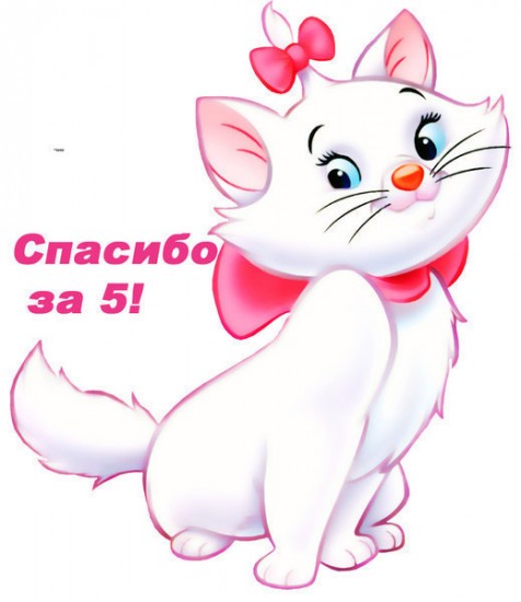 спасибо за 5 - кошечка