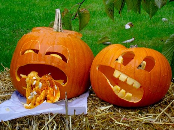 19506694_halloween_02