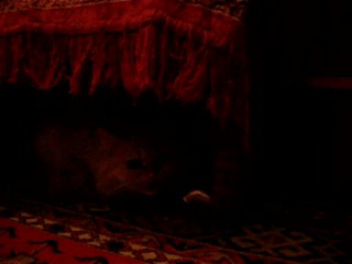 buffy