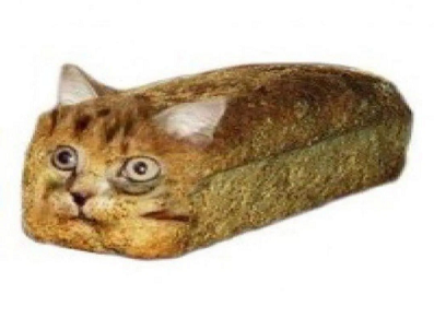 dffffffffffffffff333