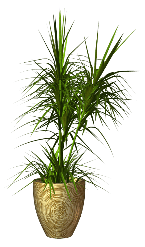 2321401-zpsbu65g2ii-1