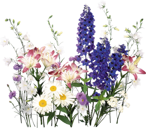 0_3aa32_6e0bbc8d_L_yapfiles.ru