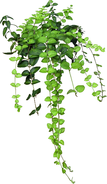 cliparts29_yapfiles.ru