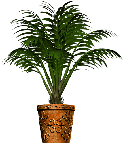 276-2762132_p-palm-plant-pot-png-min