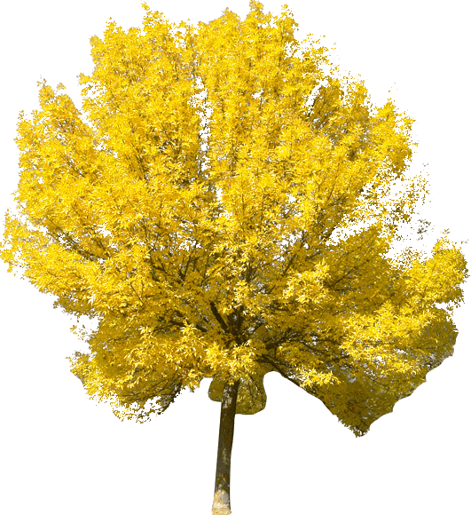 _yapfiles.ru_4_yapfiles.ru