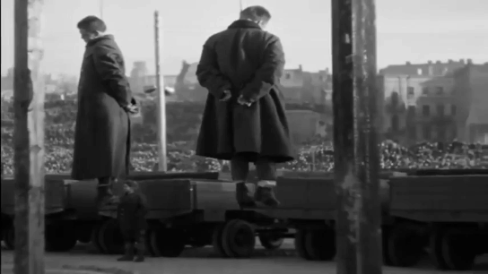 Бандера в петле