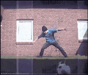 gifs_02