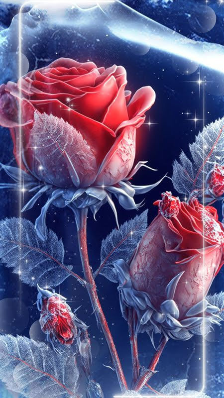 abbd3c4a9a7cc5a2bcf24415de73624b