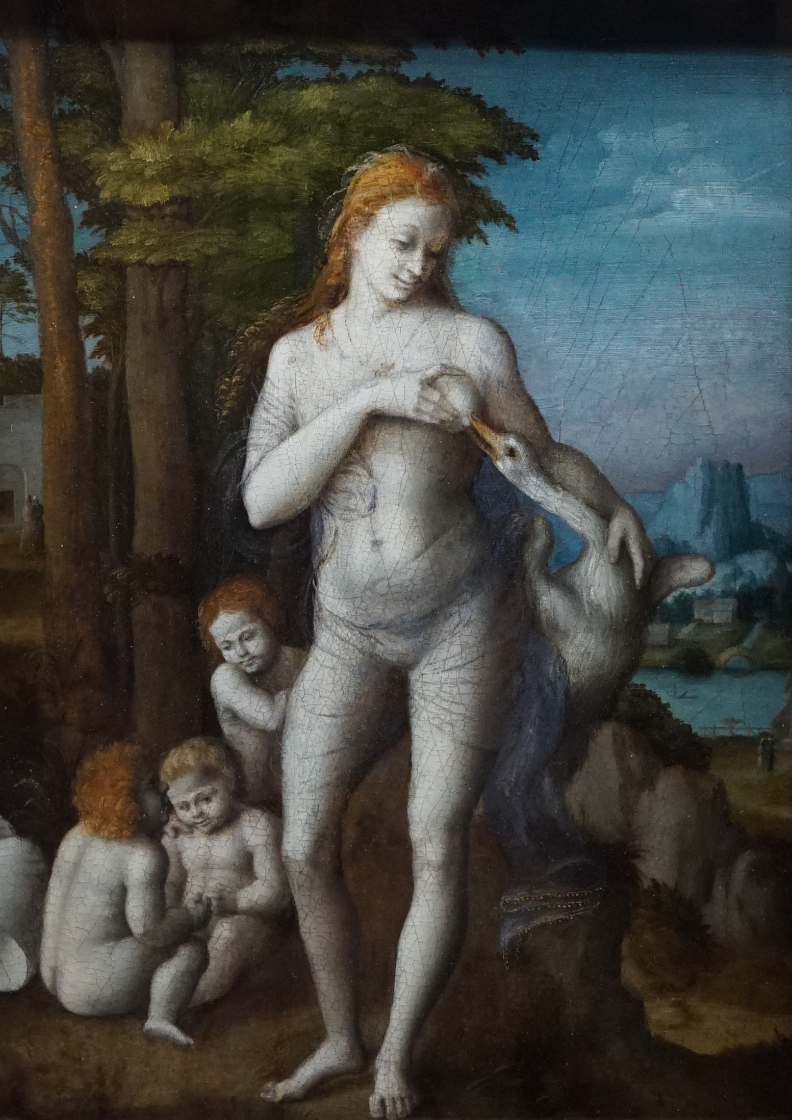 Leda_le_bacchiacca_03259 (1)